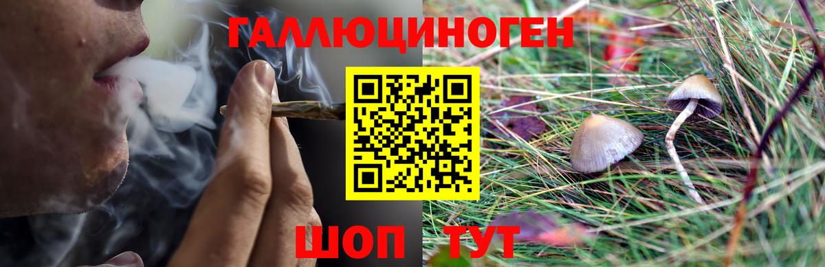 Карасук  Псилоцибиновые грибы Psilocybe  Вход с VPN  наркошоп  Галлюциногенные грибы Cubensis 