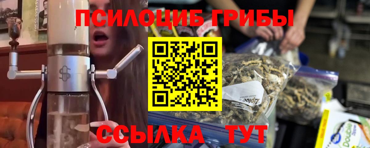 Псилоцибиновые грибы Psilocybe Карасук